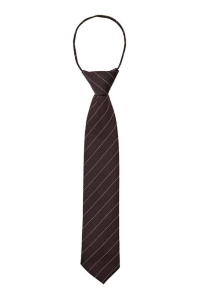 Nemo stripe tie dark brown Co’Couture