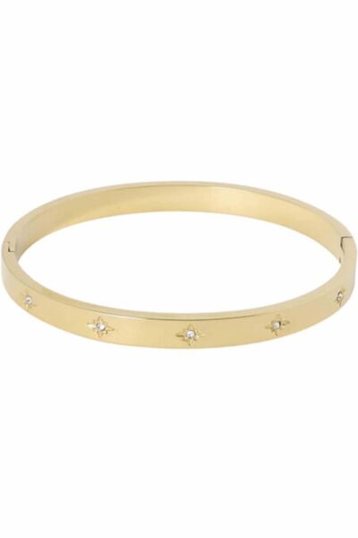 Organische bangle Ellen Beekmans