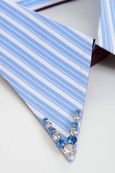 Iplain rhinestone collar C1 pale kings Essentiel