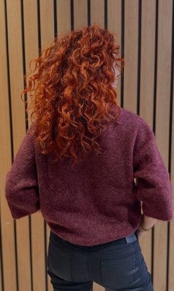Sweater burgundy Noman’sland